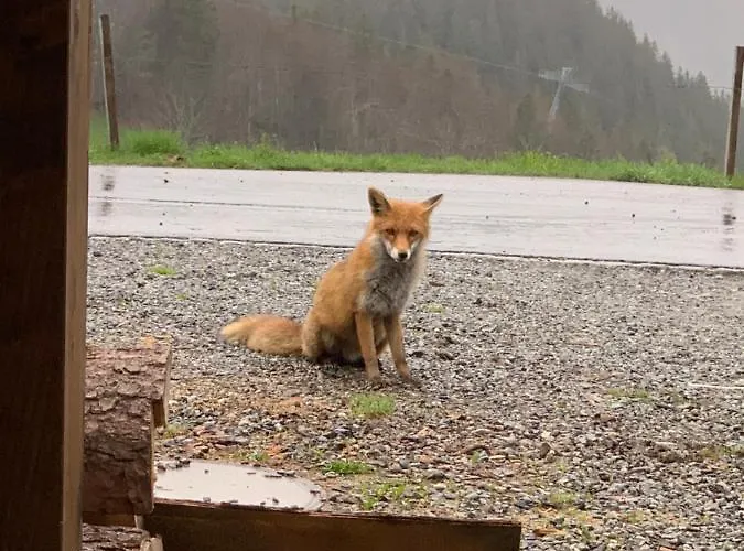 Jaegerstuebli מלון