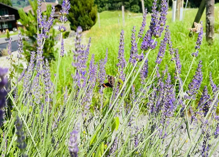 מלון Jaegerstuebli גרינדלוולד