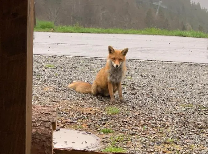 Hotel Jägerstübli Grindelwald