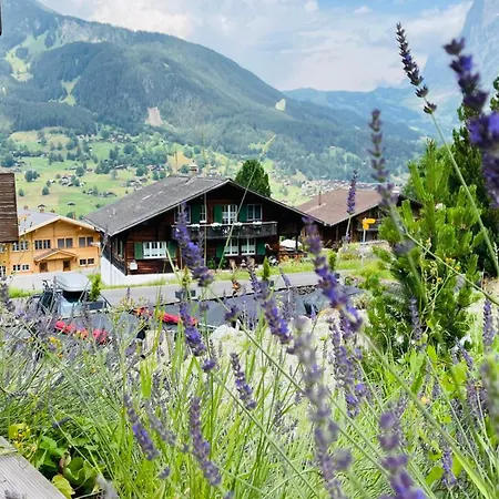 Jaegerstuebli 3* Grindelwald